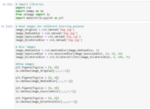 Advance image processing using OpenCV - Nomidl