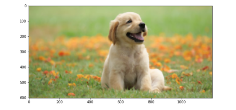 Advance image processing using OpenCV - Nomidl