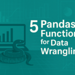 5 Pandas Functions for Data Wrangling