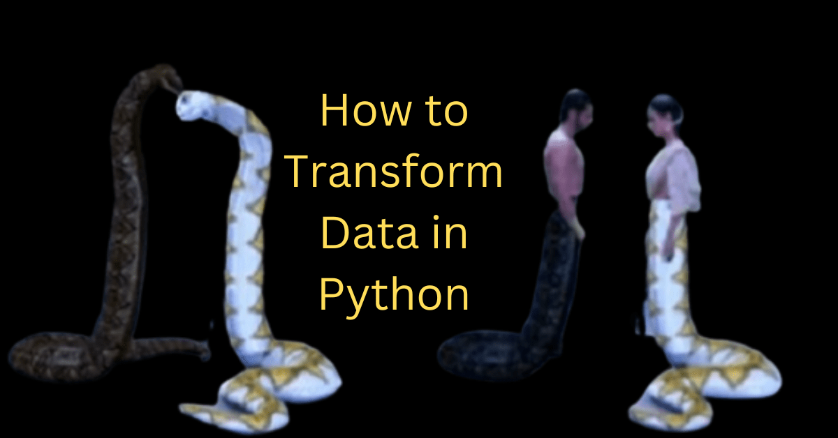 How to transform data in python