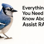 Everything You Need to Know About Assist RAG