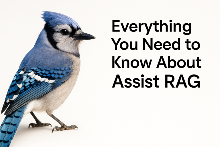 Everything You Need to Know About Assist RAG
