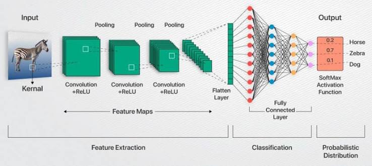 convolutional neural networks